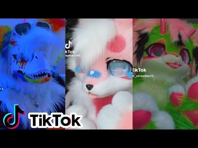 Furry Tiktok Compilation #7