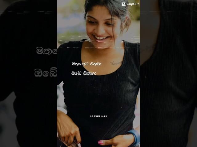 සත්තයි රත්තරනේ🫶️🫶️🫣