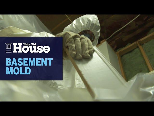 How Basement Mold Is Removed | This Old House