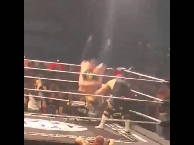 James Davis Hits the HeadShot Piledriver on a ladder!