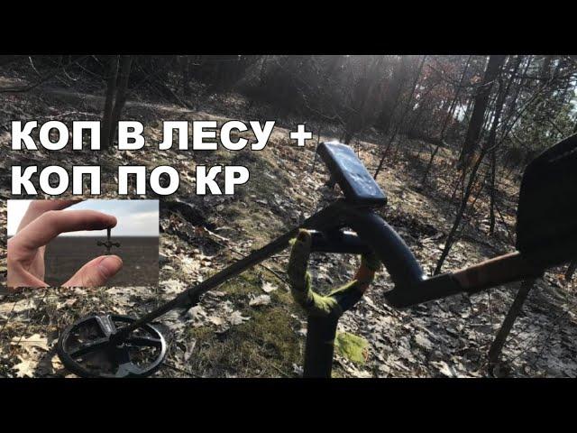 Коп в кайф с XP Deus и ко. [+18] Коп монет в лесу и коп по КР на поле