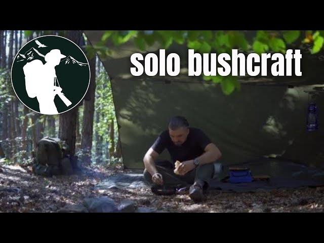 Solo overnight in the woods - Open tarp shelter, making a folding bucksaw, fatwood harvesting