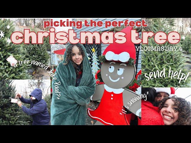 picking the perfect christmas tree  VLOGMAS ep4 | *christmas tree* *vlog* *family traditions*