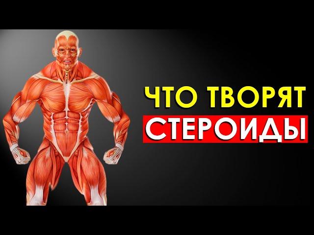 Что Произойдет с Телом, Если Принимать Стероиды