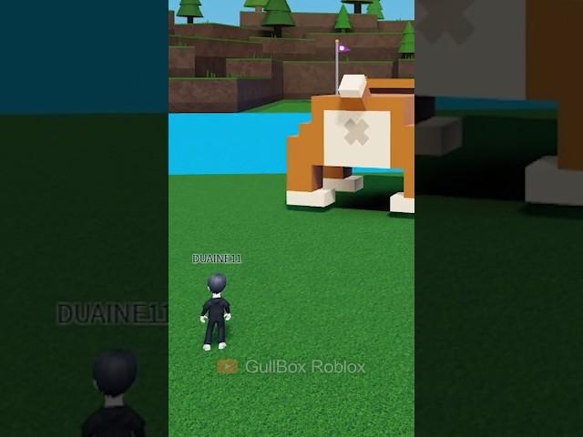 The FIRST DOG in Build a Boat 2 #roblox #buildaboat #memes #robloxshorts #robloxedit