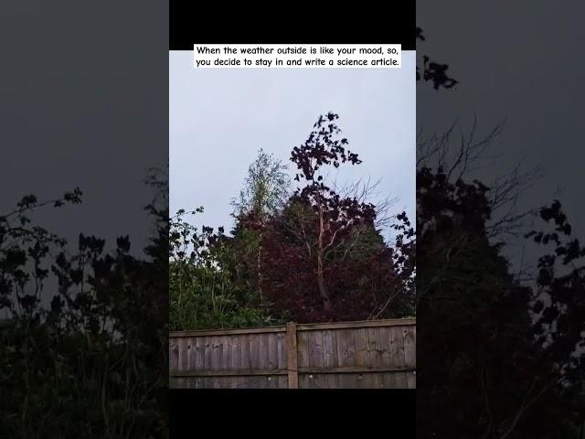 Spring in Britain