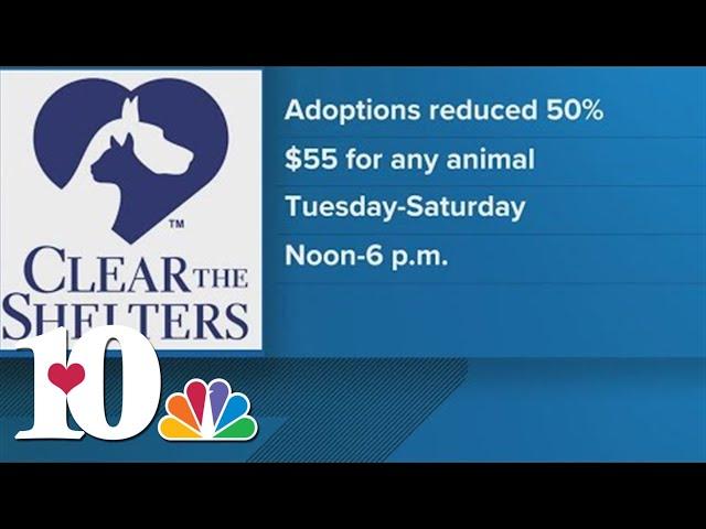 Oak Ridge Animal Shelter to offer adoption discount