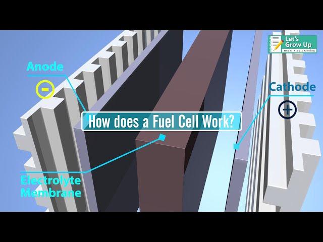 How does a #hydrogen fuel cell work? | what is #hydrogen fuel cell | #hydrogencell explain