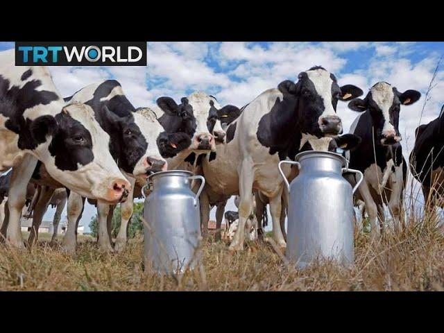 Turkey’s agriculture sector looks to modernize | Money Talks