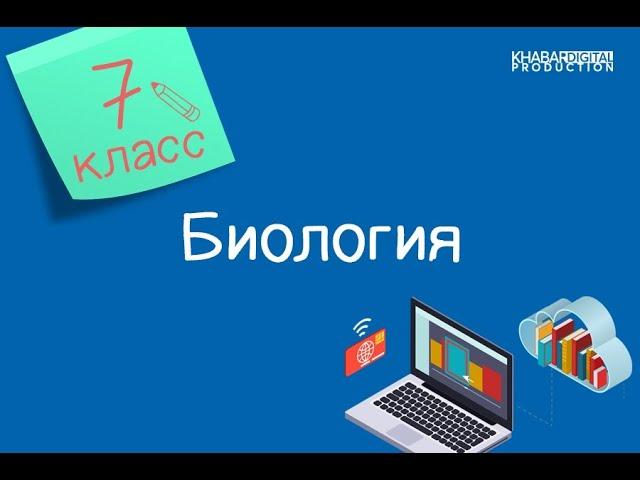 Биология. 7 класс. Органы кровообращения у животных: у кольчатых червей, моллюсков, членистоногих