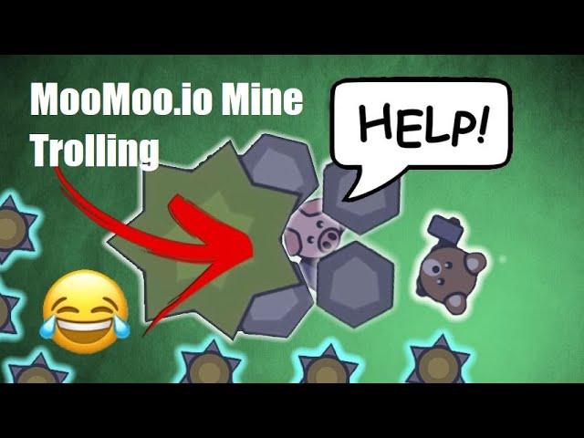 MooMoo.io: Trapping pets in a mine trap with bat! Trolling hackers and building a giant base!