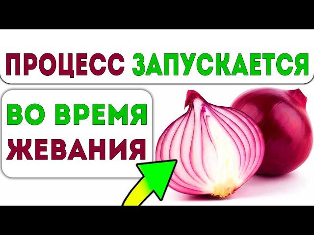 Вот что происходит с человеком, который ест ЛУК!