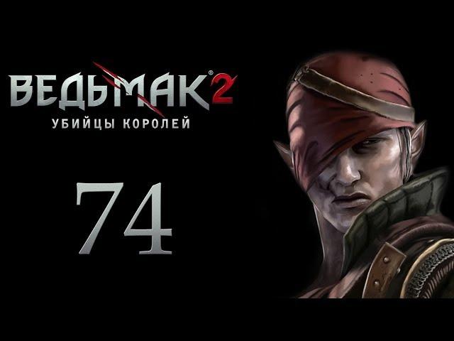 The Witcher 2 (Ведьмак 2) - Таинственные Кристаллы [#74] | PC