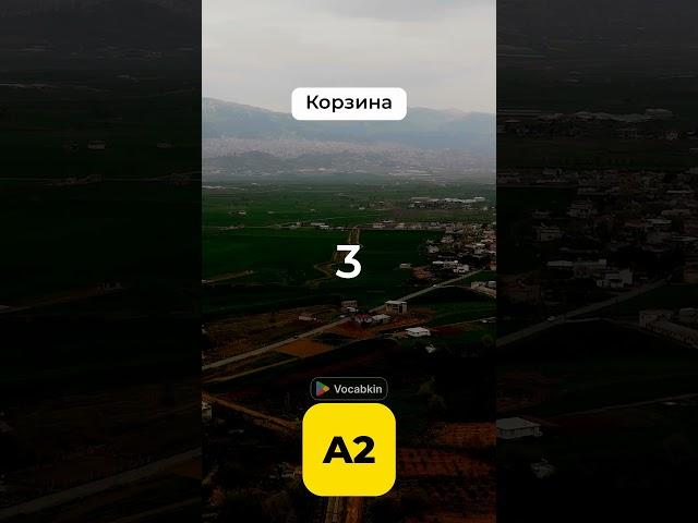 Сколько слов ты знаешь? #английский #учиманглийский