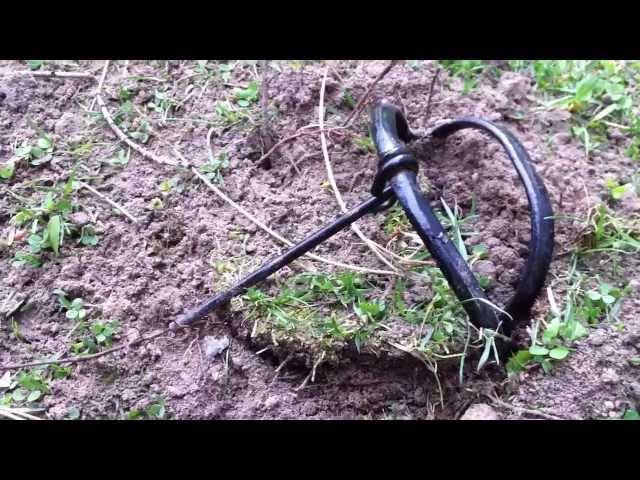 Mole trapping made easy (mole caught tunnels flattened)