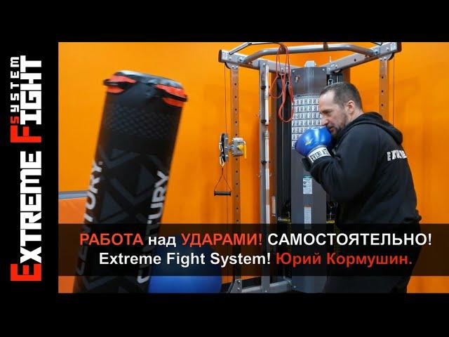 РАБОТА над УДАРАМИ! Самостоятельно! Extreme Fight System! Юрий Кормушин