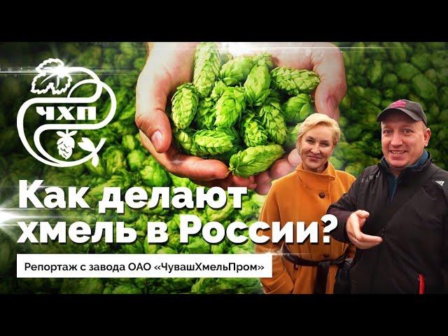 Как делают хмель в России? ЧувашХмельПром