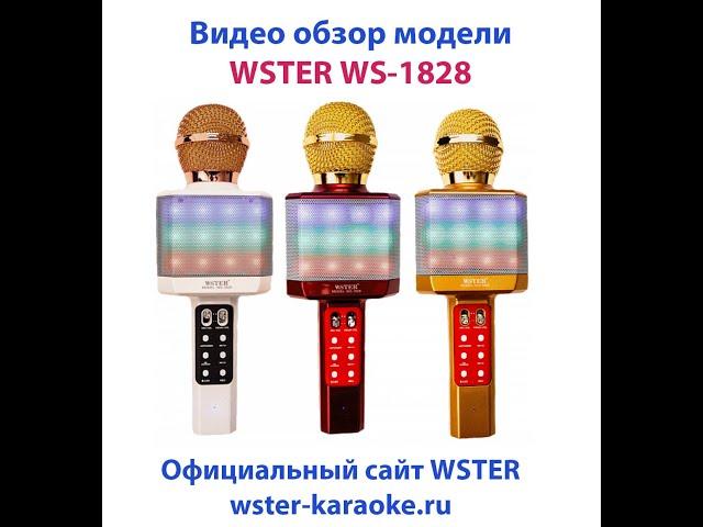 WSTER 1828 - Караоке микрофон - Видео обзор модели