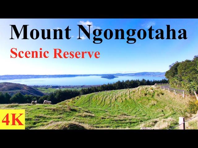 Mount Ngongotaha Scenic Reserve - Rotorua - New Zealand