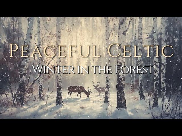 Tranquil Winter in the Celtic Forest – Peaceful Music for Calm and Reflection ️