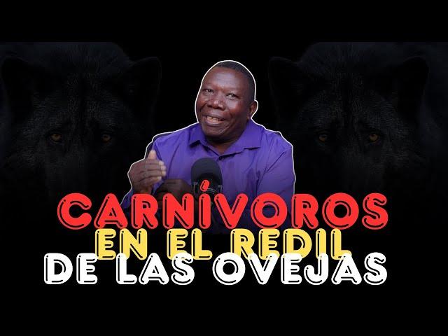 CARNÍVOROS EN EL REDIL DE LAS OVEJAS - Pastor TV Erick Damisca