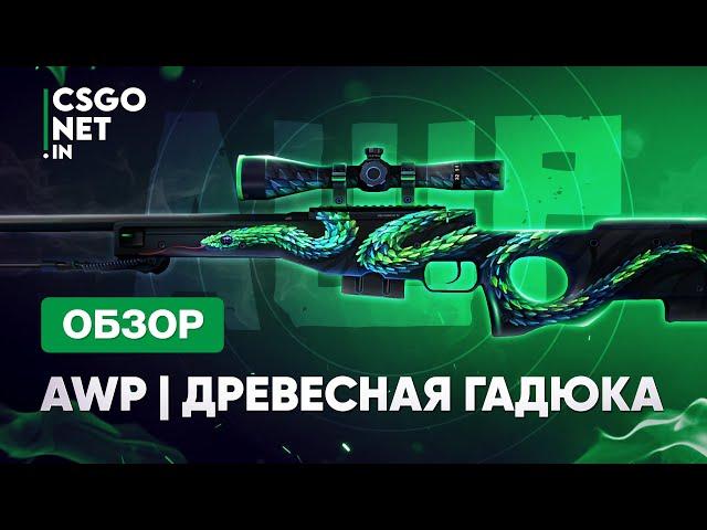 AWP | Atheris (Древесная гадюка) | CS:GO