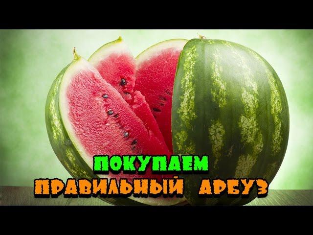 КАК ВЫБИРАТЬ АРБУЗ: 6 ПРОСТЫХ И ВЕРНЫХ ПРИЗНАКОВ ЗРЕЛОСТИ