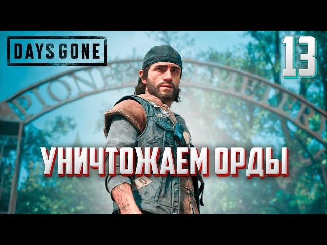 DAYS GONE ►ЖИЗНЬ ПОСЛЕ # 13 - уничтожаем орды ! (прохождение)