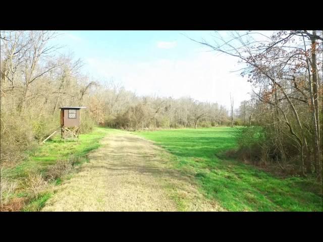 790 Acre Premier Deer & Turkey hunting property for sale in Mississippi