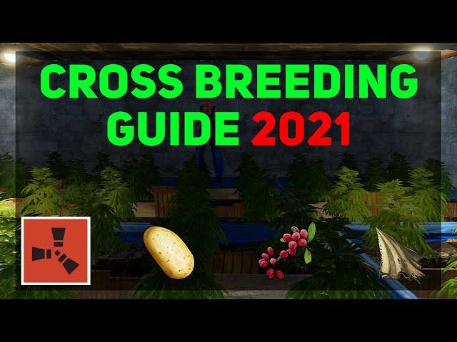 Cross Breeding Guide (updated 2021) | Rust