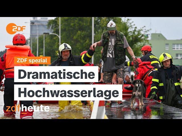 Hochwasser in Europa - Dauerregen und steigende Pegelstände I ZDF spezial