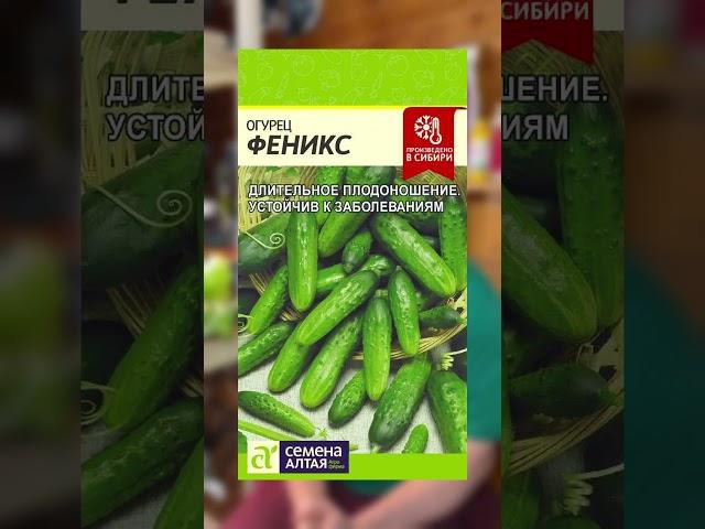 ТОП УРОЖАЙНЫХ  ДЛЯ ОТКРЫТОГО ГРУНТА