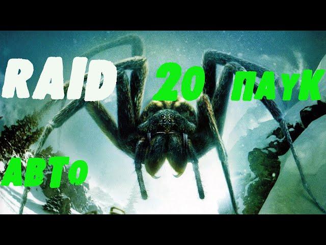 Raid Shadow Legends Гнездо Паучихи на АВТО без ХС и гвардейцев