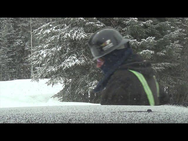 Oilfield Workers Dash Cam Records Image Of Bigfoot