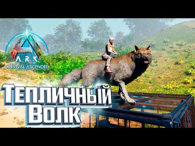 Волк, Пещеры, Скарабей и Всё для Теплицы - ARK Survival Ascended #16