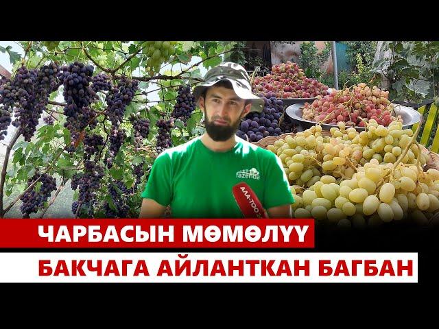 Үйдөгү короосун өзгөчө экофермага айланткан Абдукадыр