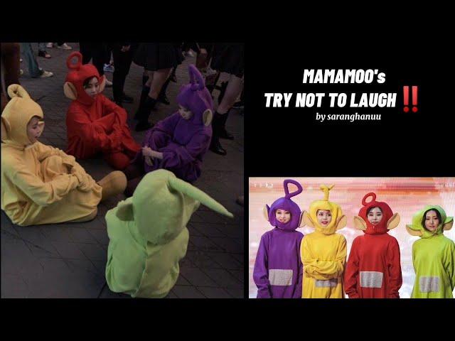 ️TRY NOT TO LAUGH VIDEO (MAMAMOO)