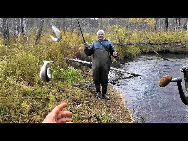 Ловля  ХАРИУСА в Глухой ТАЙГЕ ОСЕНЬЮ 19г(ТАЙГА,и ее Речушка)