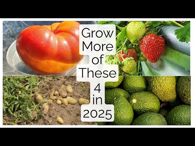 Grow More of These 4 in 2025 [Cause Trump may Ruin Everything]