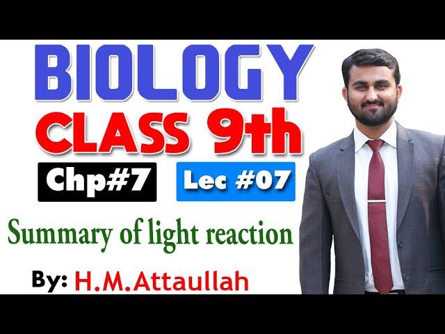 Summary of light reaction | Smart syllabus | Chapter 7 | 9th class Biology |ALP |Lec 7