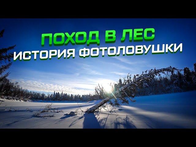 Поход в лес, охота на рябчиков! История фотоловушки! #жизньвлесу