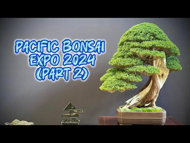 [Part 2] Discover the MOST BEAUTIFUL Bonsai Trees at Pacific Bonsai Expo 2024!