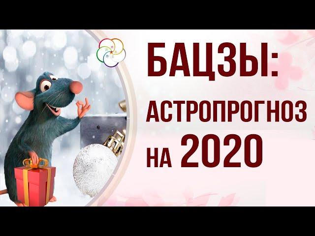 БАЦЗЫ 2020 год: АСТРОПРОГНОЗ НА ГОД МЕТАЛЛИЧЕСКОЙ КРЫСЫ 2020