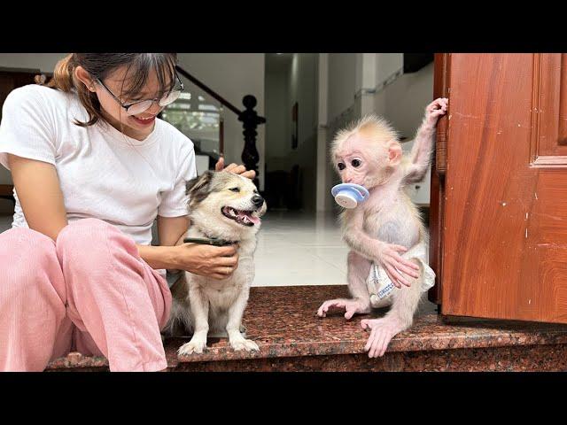 It's funny: Lucky is jealous and angry when his mother takes care of SuSu