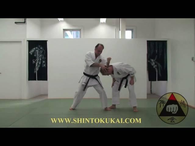 Okinawa Shorin-ryu Karate: Parent Style of Shotokan (clip 6)