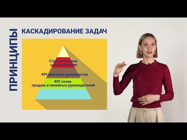 Принципы эффективного управления командой. Часть 1.