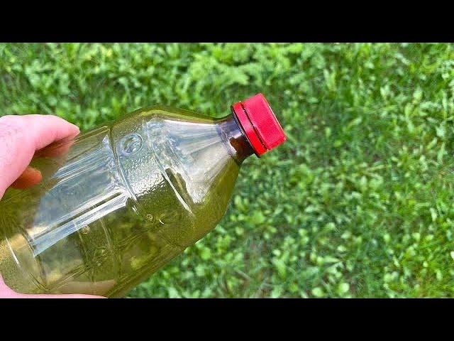 After learning this SECRET, you will never throw away a plastic bottle!