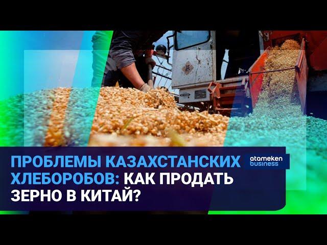 ЗЕРНО - НА ЭКСПОРТ: ПОЧЕМУ НЕ ИДЕТ ТОРГОВЛЯ С КИТАЕМ? / Время говорить 14.02.2023