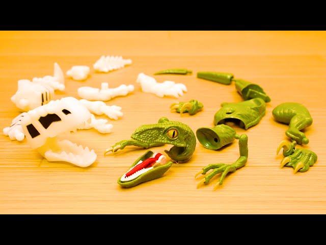 Velociraptor & Dinosaurs Dismantling plastic model -Stopmotion Build-/GODZILLA/ARK-