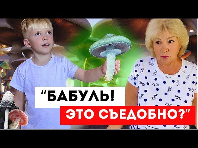 СЕМЕЙНЫЙ ВЫХОД В ЛЕС. Что мы там НАШЛИ и что УДИВИЛО! ПЕТЕРБУРГ ПОСЛЕ 2х лет ОТСУТСТВИЯ.